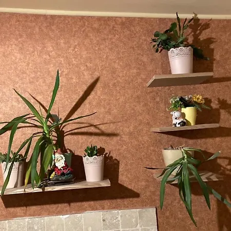 Seawave Black Sea Coast 公寓 康斯坦察